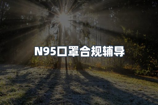 N95口罩合规辅导