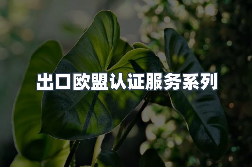 出口欧盟认证服务