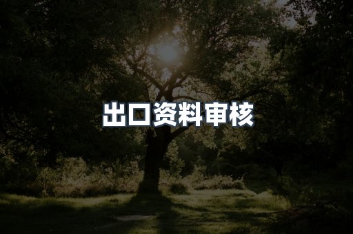 出口资料审核
